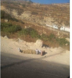 استشهاد شاب برصاص الاحتلال على مدخل بني نعيم شرق الخليل
